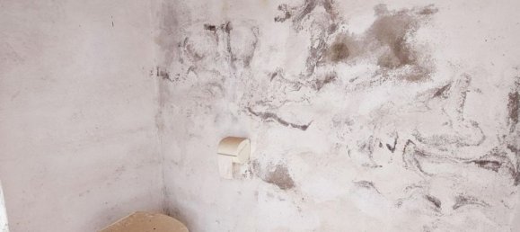 3 bedrooms House in Mula, Spain No. 146788 9