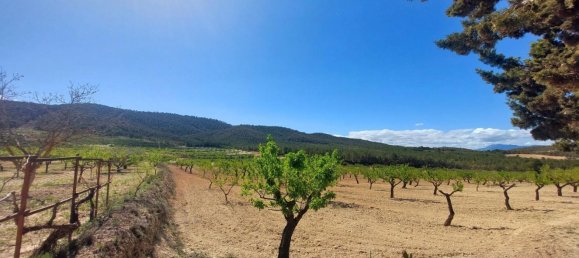 3 bedrooms House in Mula, Spain No. 146788 8