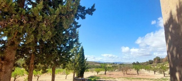 3 bedrooms House in Mula, Spain No. 146788 6