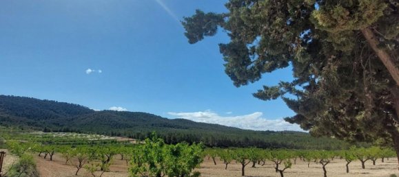 3 bedrooms House in Mula, Spain No. 146788 22