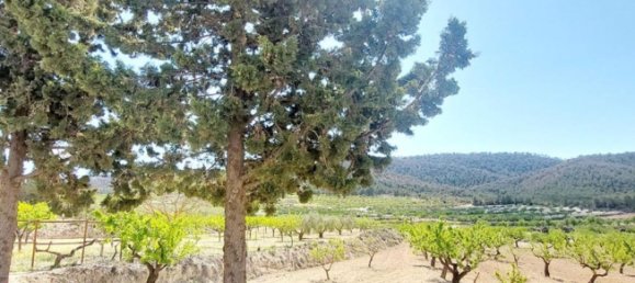 3 bedrooms House in Mula, Spain No. 146788 5