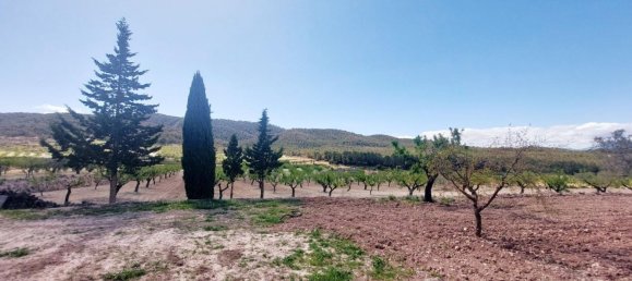 3 bedrooms House in Mula, Spain No. 146788 7