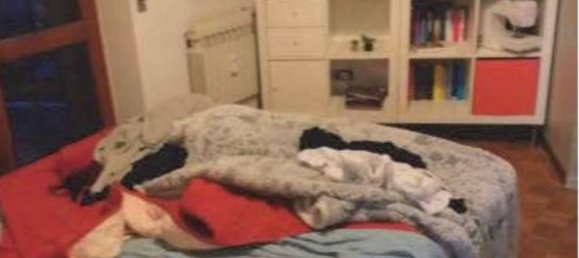 3-Zimmer Wohnung in Voghera, Italy, Nr. 78330 6