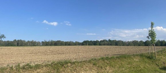 Casa de 2 habitaciónes en Steinbrunn, Austria No. 211994 6