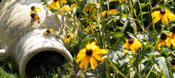 4 chambres Maison à Bernareggio, Italy No. 314709 4