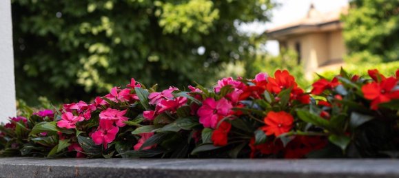 4 chambres Maison à Bernareggio, Italy No. 314709 49