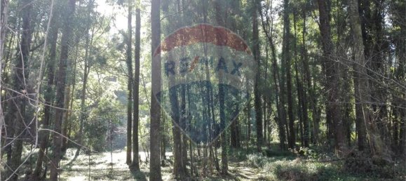 Terreno en Espinho, Portugal 1800 m² No. 69162 5