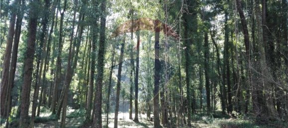 Terreno en Espinho, Portugal 1800 m² No. 69162 4