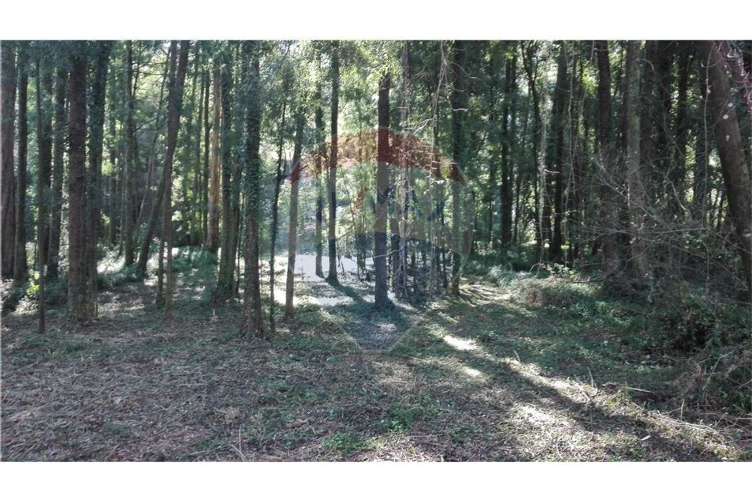 Terreno en Espinho, Portugal 1800 m² No. 69162