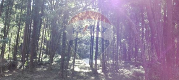 Terreno en Espinho, Portugal 1800 m² No. 69162 6