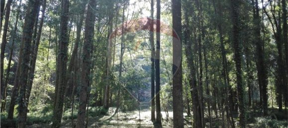 Terreno en Espinho, Portugal 1800 m² No. 69162 2