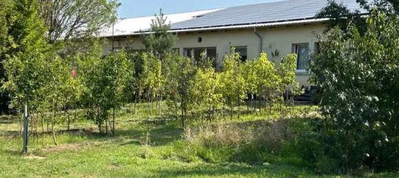  مستودع في Wittenberg, Germany رقم 337347 8