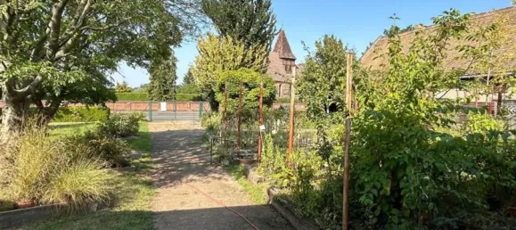  مستودع في Wittenberg, Germany رقم 337347 10