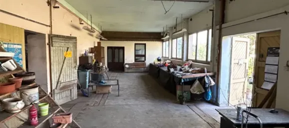  مستودع في Wittenberg, Germany رقم 337347 11