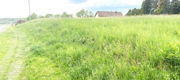 Terrain à Oberwart, Austria 821m² No. 26901 2