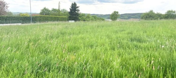 Terrain à Oberwart, Austria 821m² No. 26901 6