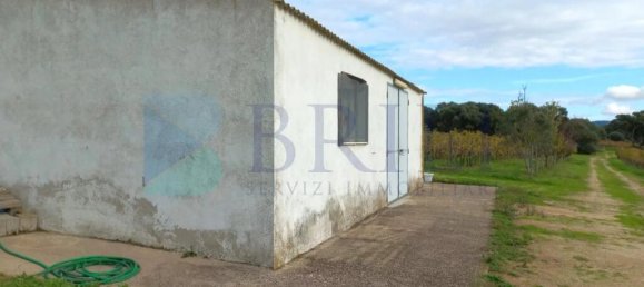 85000m² Land in Berchidda, Italy No. 326971 20