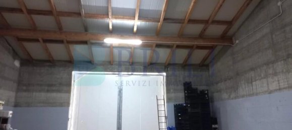 85000m² Land in Berchidda, Italy No. 326971 19