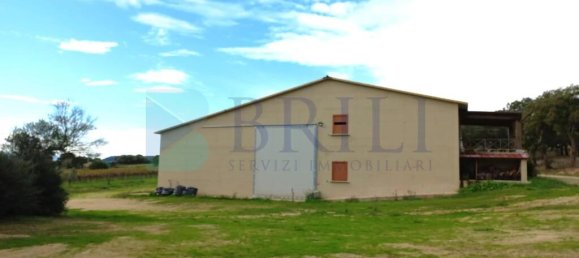 85000m² Land in Berchidda, Italy No. 326971 18
