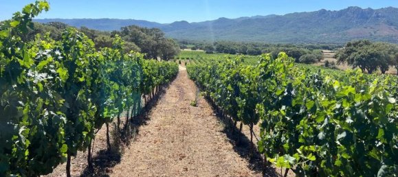 85000m² Land in Berchidda, Italy No. 326971 2