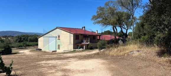 85000m² Land in Berchidda, Italy No. 326971 30