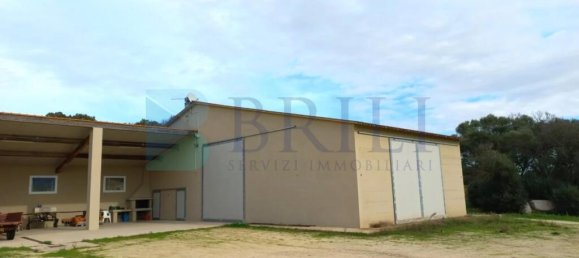 85000m² Land in Berchidda, Italy No. 326971 16
