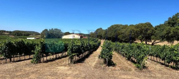 85000m² Land in Berchidda, Italy No. 326971 5