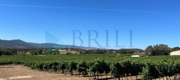 85000m² Land in Berchidda, Italy No. 326971 3