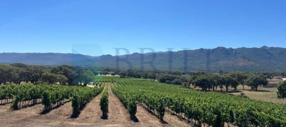 85000m² Land in Berchidda, Italy No. 326971 27