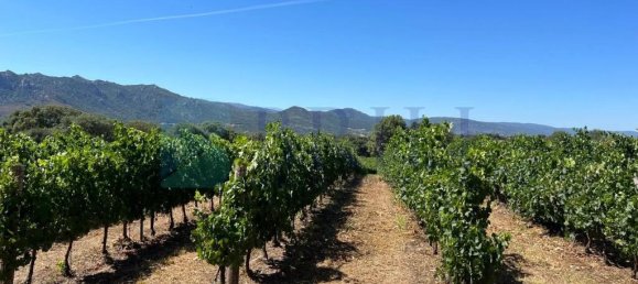 85000m² Land in Berchidda, Italy No. 326971 14