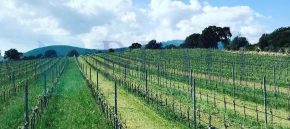 85000m² Land in Berchidda, Italy No. 326971 11