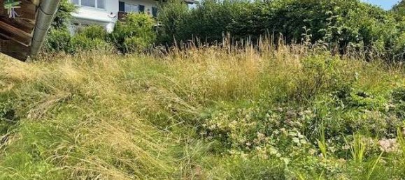  Land in Ostallgau, Germany No. 230638 7