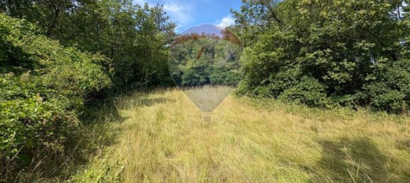 3610m² Land in Trieste, Italy No. 258567 19