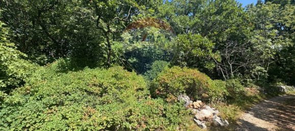 3610m² Land in Trieste, Italy No. 258567 10