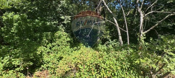 3610m² Land in Trieste, Italy No. 258567 7