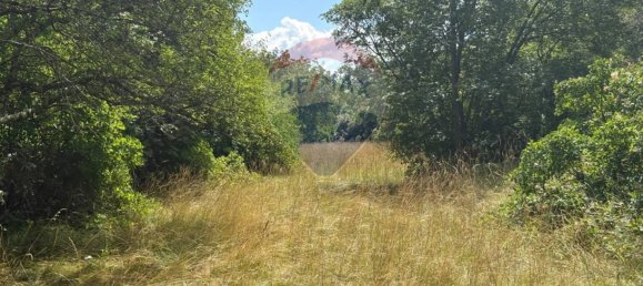 3610m² Land in Trieste, Italy No. 258567 22