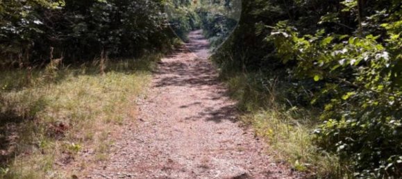 3610m² Land in Trieste, Italy No. 258567 13