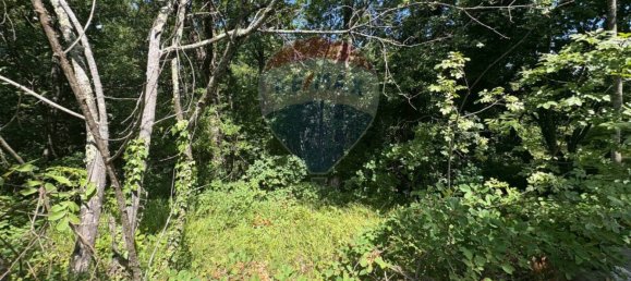 3610m² Land in Trieste, Italy No. 258567 8