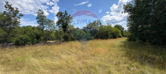 3610m² Land in Trieste, Italy No. 258567 20