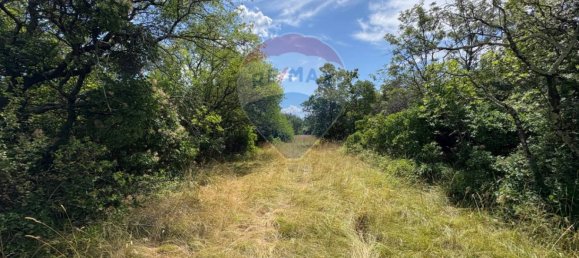 3610m² Land in Trieste, Italy No. 258567 23