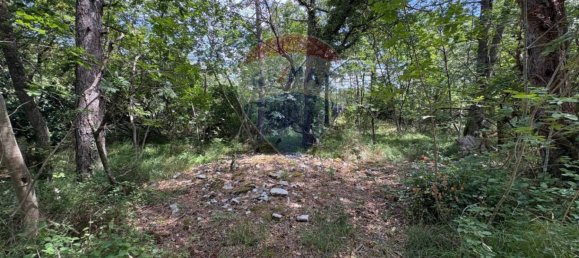 3610m² Land in Trieste, Italy No. 258567 26