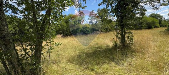 3610m² Land in Trieste, Italy No. 258567 17