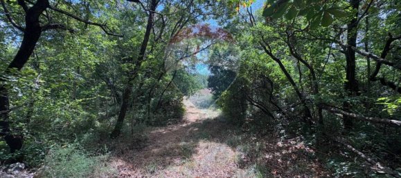 3610m² Land in Trieste, Italy No. 258567 15