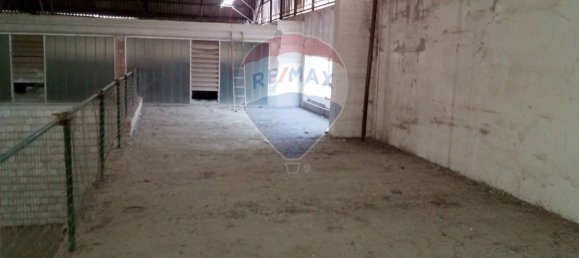 1638m² Warehouse in Casalmaggiore, Italy No. 265351 20