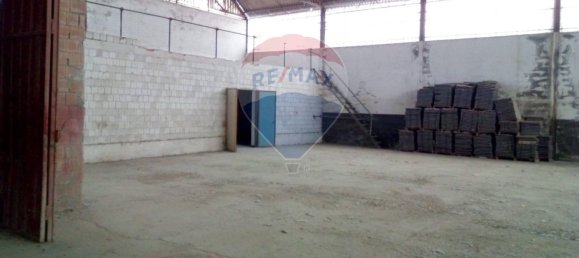 1638m² Warehouse in Casalmaggiore, Italy No. 265351 18