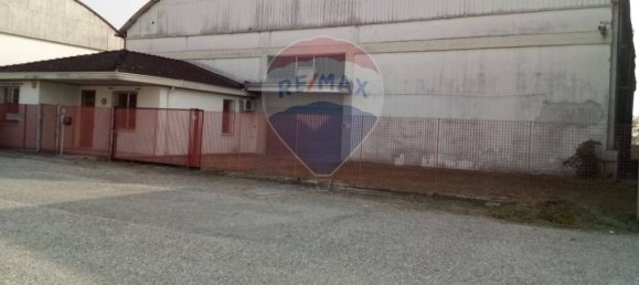 1638m² Warehouse in Casalmaggiore, Italy No. 265351 5