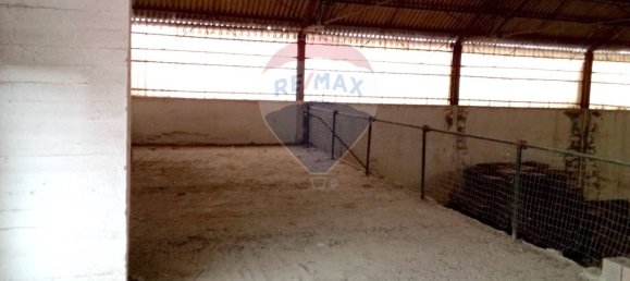 1638m² Warehouse in Casalmaggiore, Italy No. 265351 4