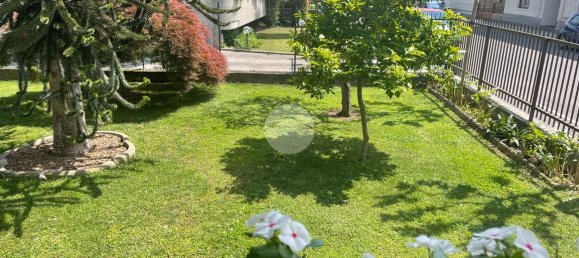 6 rooms Villa in Lissone, Italy No. 234488 6