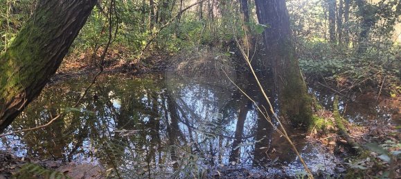 Casa T2 em Póvoa de Midões, Portugal N.º 66019 13