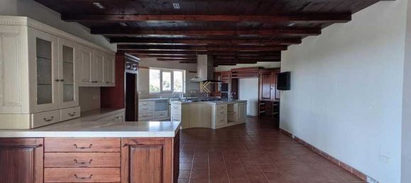 Imóvel comercial T4 em Anarita, Cyprus N.º 20133 12